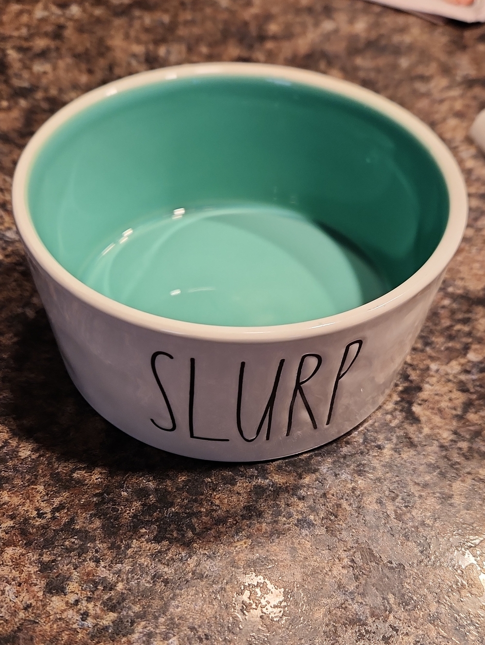 Rae Dunn White Ceramic Pet Bowl with Teal Interior - SLURP